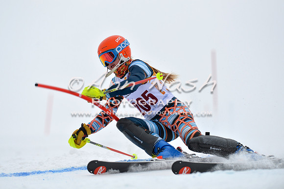 alpine_2015-02-14_13-31-48_DSC_8380_©AnnNashPhotographyLLC_2015