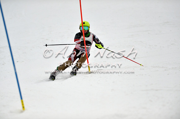 alpine_2015-01-22_12-17-06_DSC_1461_©AnnNashPhotographyLLC_2015