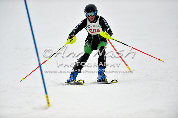 alpine_2015-01-22_12-17-57_DSC_1495_©AnnNashPhotographyLLC_2015