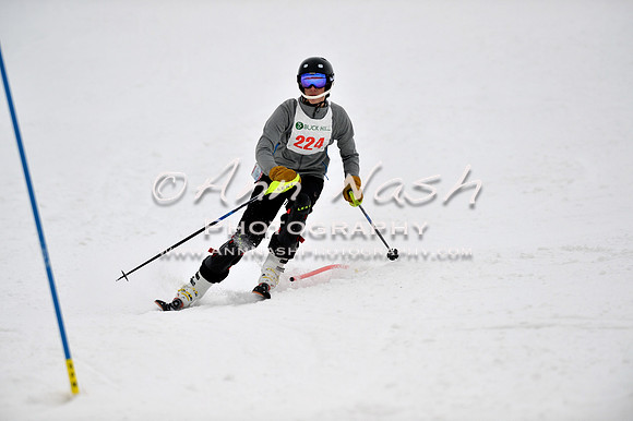 alpine_2015-01-22_12-14-53_DSC_1411_©AnnNashPhotographyLLC_2015