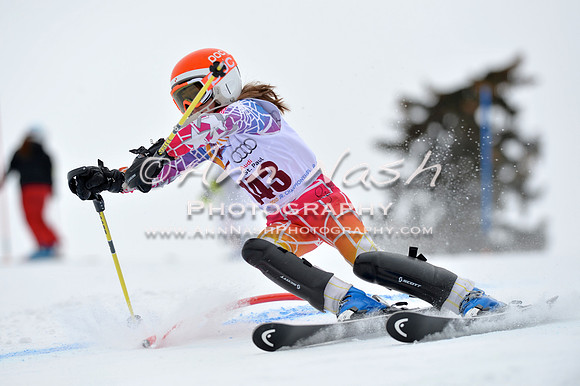 alpine_2015-02-14_12-55-18_DSC_7685_©AnnNashPhotographyLLC_2015