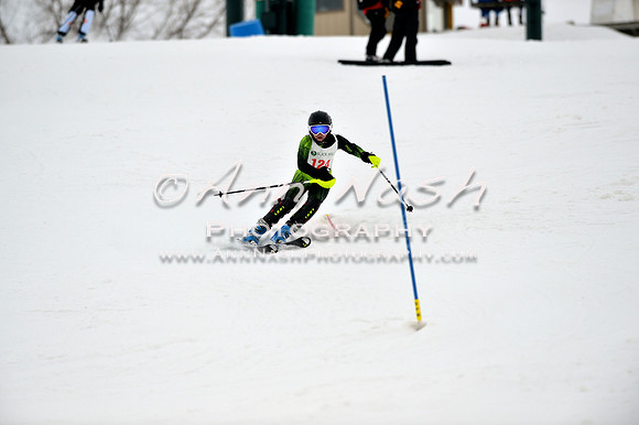 alpine_2015-01-22_12-09-51_DSC_1247_©AnnNashPhotographyLLC_2015