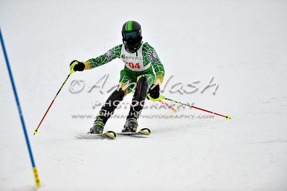 alpine_2015-01-22_12-13-56_DSC_1383_©AnnNashPhotographyLLC_2015