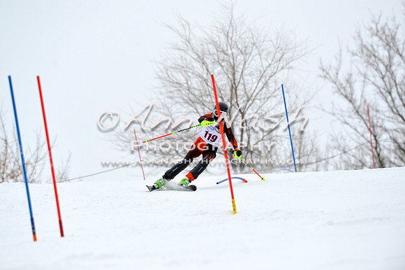 alpine_2015-02-14_13-21-18_DSC_8215_©AnnNashPhotographyLLC_2015