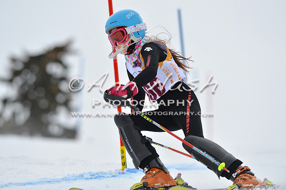 alpine_2015-02-14_12-49-21_DSC_7578_©AnnNashPhotographyLLC_2015