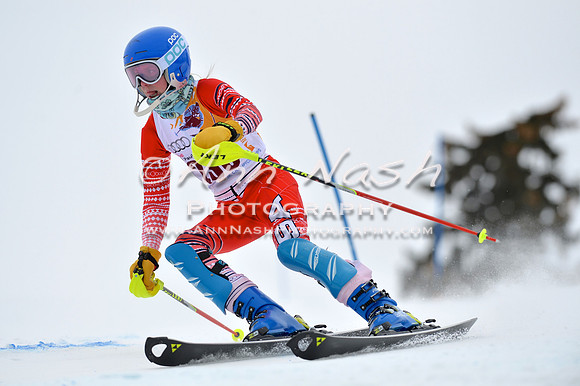 alpine_2015-02-14_13-35-36_DSC_8454_©AnnNashPhotographyLLC_2015