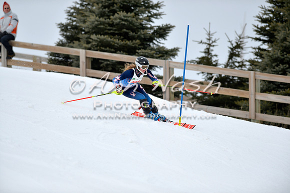 alpine_2015-01-22_11-57-44_DSC_0885_©AnnNashPhotographyLLC_2015