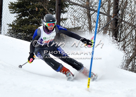 alpine_2015-01-22_11-47-37_DSC_0527_©AnnNashPhotographyLLC_2015