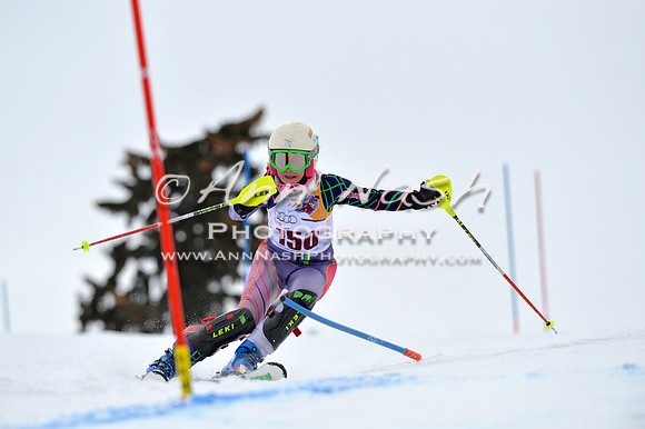 alpine_2015-02-14_12-48-08_DSC_7558_©AnnNashPhotographyLLC_2015
