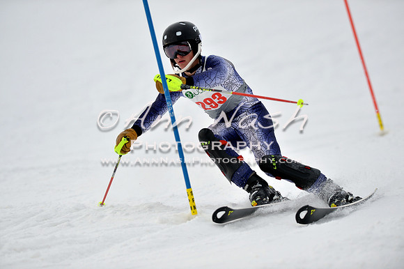 alpine_2015-01-22_12-06-37_DSC_1165_©AnnNashPhotographyLLC_2015