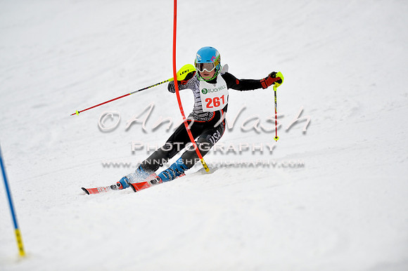 alpine_2015-01-22_11-40-19_DSC_0235_©AnnNashPhotographyLLC_2015