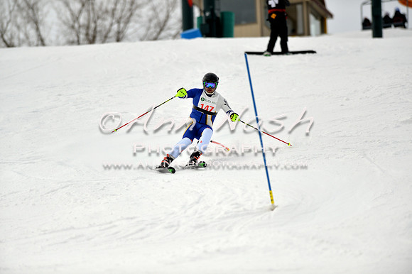alpine_2015-01-22_12-47-45_DSC_2317_©AnnNashPhotographyLLC_2015