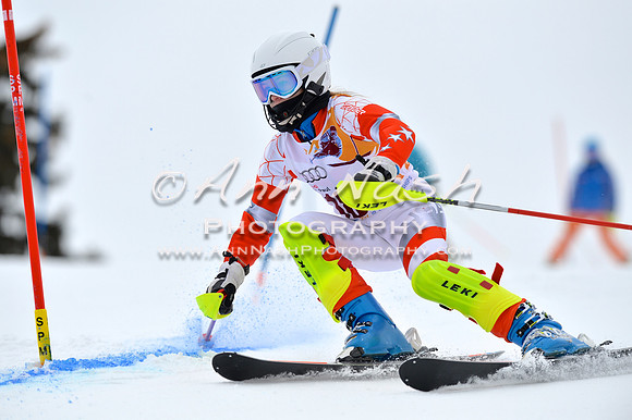 alpine_2015-02-14_12-42-46_DSC_7526_©AnnNashPhotographyLLC_2015