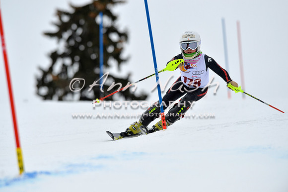 alpine_2015-02-14_12-59-18_DSC_7768_©AnnNashPhotographyLLC_2015