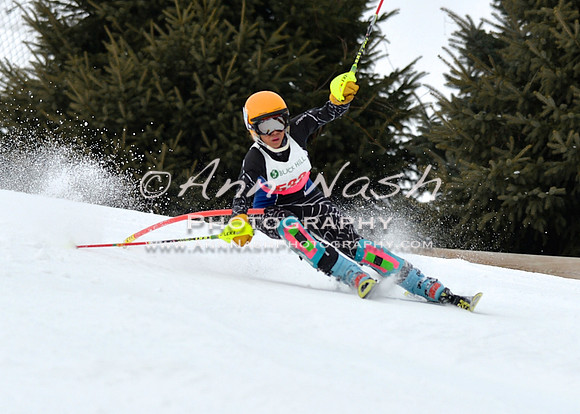 alpine_2015-01-22_11-50-10_DSC_0645_©AnnNashPhotographyLLC_2015