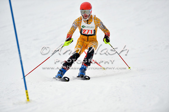 alpine_2015-01-22_11-40-41_DSC_0256_©AnnNashPhotographyLLC_2015