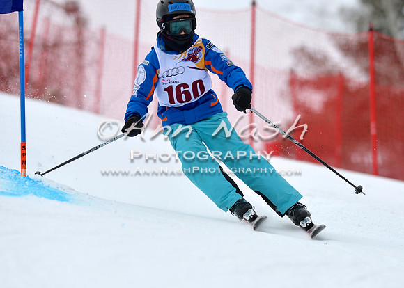 alpine_2015-02-14_10-48-57_DSC_6363_©AnnNashPhotographyLLC_2015