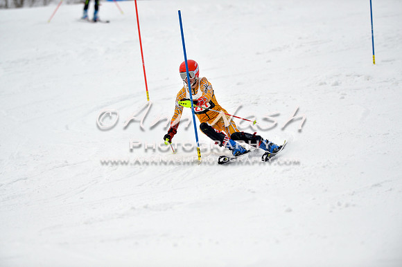 alpine_2015-01-22_11-40-40_DSC_0250_©AnnNashPhotographyLLC_2015