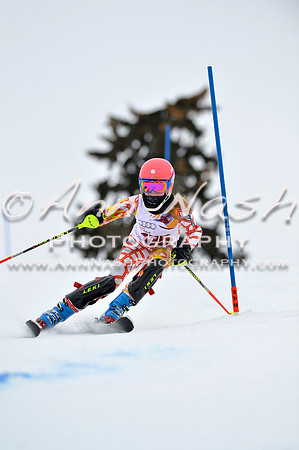 alpine_2015-02-14_13-02-57_DSC_7864_©AnnNashPhotographyLLC_2015