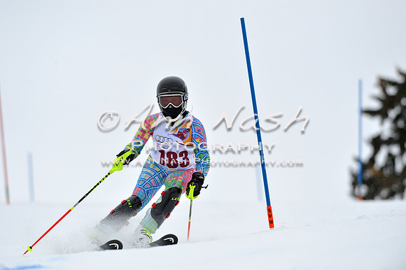 alpine_2015-02-14_13-27-57_DSC_8331_©AnnNashPhotographyLLC_2015