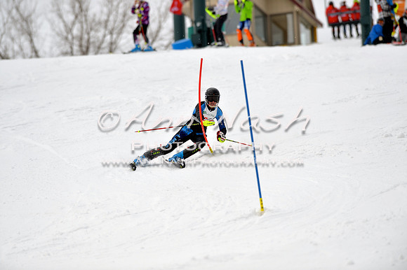 alpine_2015-01-22_11-41-24_DSC_0293_©AnnNashPhotographyLLC_2015