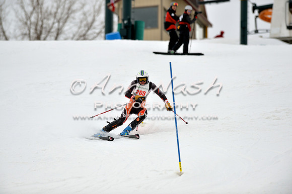 alpine_2015-01-22_12-08-44_DSC_1211_©AnnNashPhotographyLLC_2015