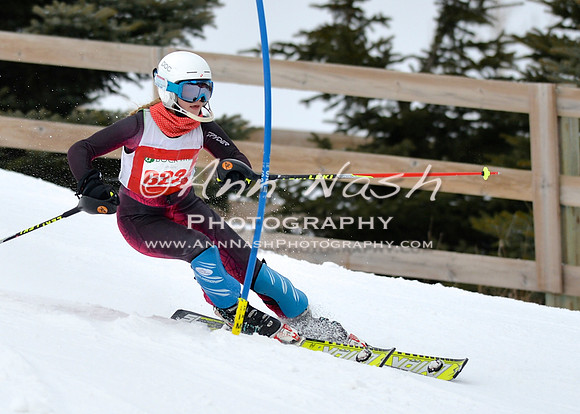 alpine_2015-01-22_11-54-48_DSC_0791_©AnnNashPhotographyLLC_2015