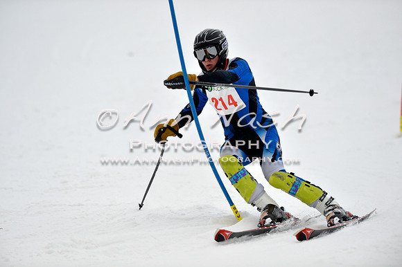 alpine_2015-01-22_12-14-34_DSC_1401_©AnnNashPhotographyLLC_2015