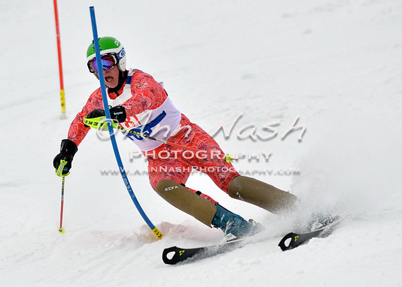 alpine_2015-01-22_11-35-14_DSC_0074_©AnnNashPhotographyLLC_2015