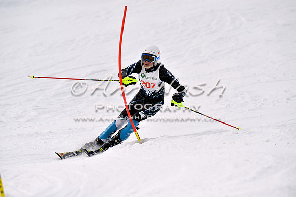 alpine_2015-01-22_12-50-54_DSC_2422_©AnnNashPhotographyLLC_2015