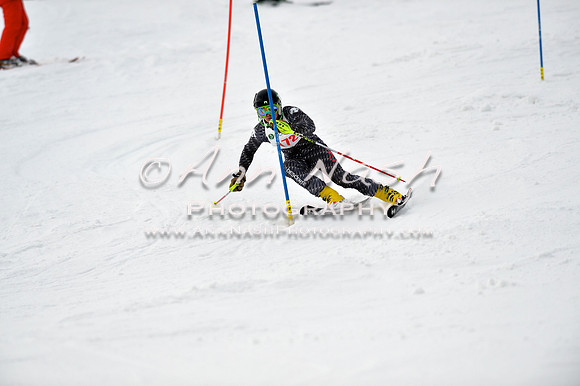 alpine_2015-01-22_11-45-55_DSC_0464_©AnnNashPhotographyLLC_2015
