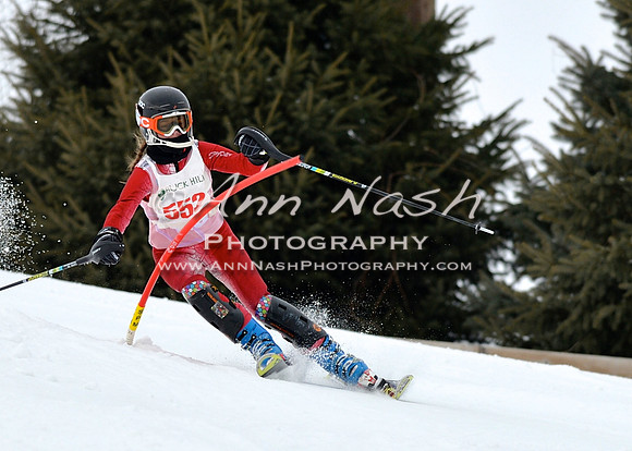 alpine_2015-01-22_11-51-14_DSC_0701_©AnnNashPhotographyLLC_2015