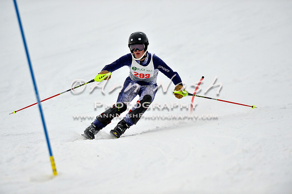 alpine_2015-01-22_12-06-36_DSC_1161_©AnnNashPhotographyLLC_2015