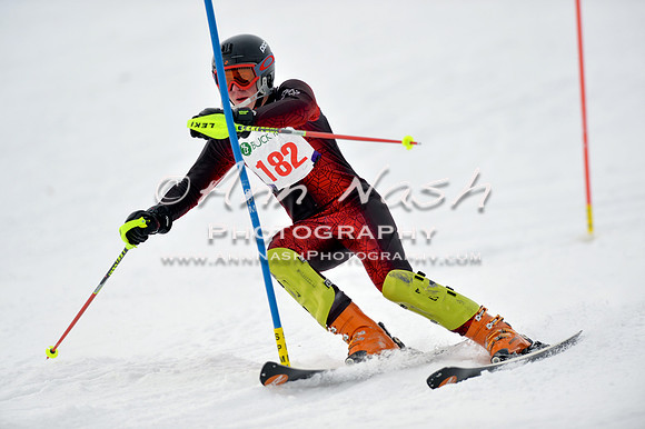 alpine_2015-01-22_11-46-21_DSC_0488_©AnnNashPhotographyLLC_2015