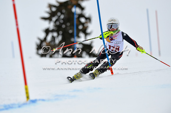 alpine_2015-02-14_12-59-18_DSC_7769_©AnnNashPhotographyLLC_2015
