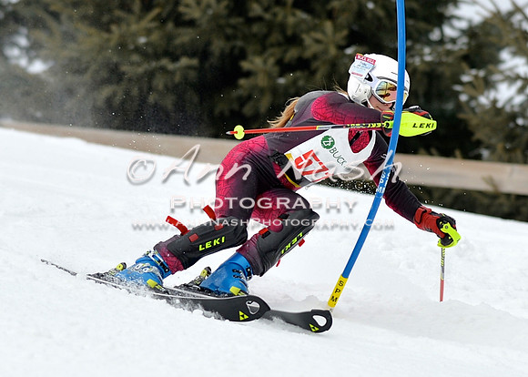 alpine_2015-01-22_11-40-27_DSC_0240_©AnnNashPhotographyLLC_2015