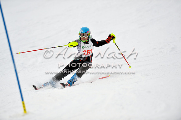 alpine_2015-01-22_11-40-19_DSC_0236_©AnnNashPhotographyLLC_2015