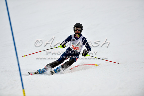 alpine_2015-01-22_12-08-18_DSC_1203_©AnnNashPhotographyLLC_2015