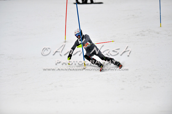alpine_2015-01-22_12-18-40_DSC_1511_©AnnNashPhotographyLLC_2015