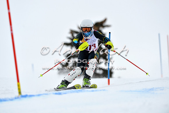alpine_2015-02-14_12-46-06_DSC_7538_©AnnNashPhotographyLLC_2015