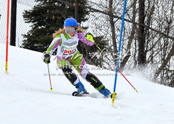 alpine_2015-01-22_11-53-47_DSC_0760_©AnnNashPhotographyLLC_2015