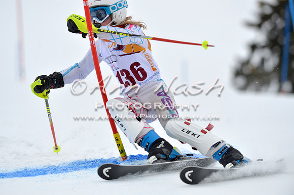 alpine_2015-02-14_13-13-05_DSC_8086_©AnnNashPhotographyLLC_2015