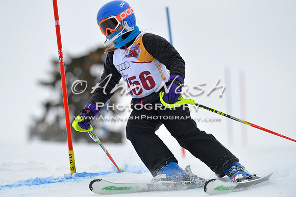 alpine_2015-02-14_12-47-01_DSC_7546_©AnnNashPhotographyLLC_2015