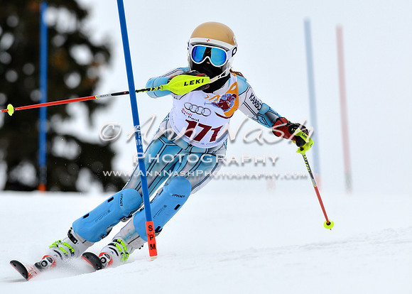 alpine_2015-02-14_13-01-48_DSC_7828_©AnnNashPhotographyLLC_2015