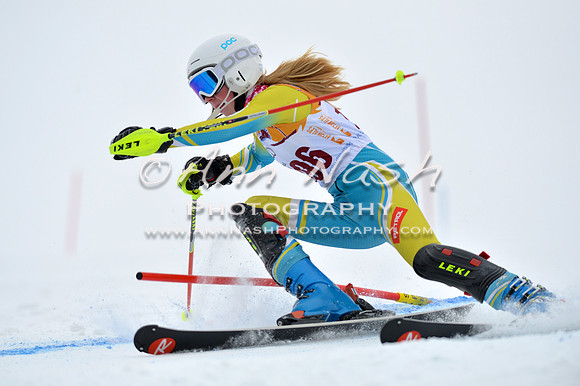 alpine_2015-02-14_13-33-01_DSC_8402_©AnnNashPhotographyLLC_2015