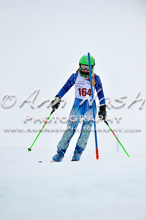 alpine_2015-02-14_13-29-22_DSC_8351_©AnnNashPhotographyLLC_2015