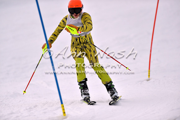alpine_2015-01-22_12-46-44_DSC_2303_©AnnNashPhotographyLLC_2015