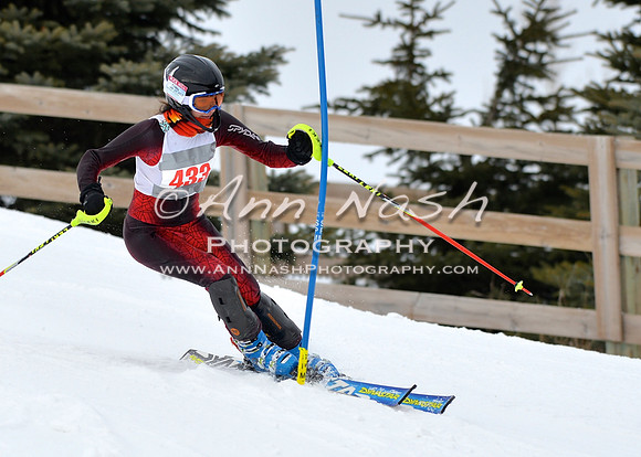 alpine_2015-01-22_11-55-44_DSC_0833_©AnnNashPhotographyLLC_2015
