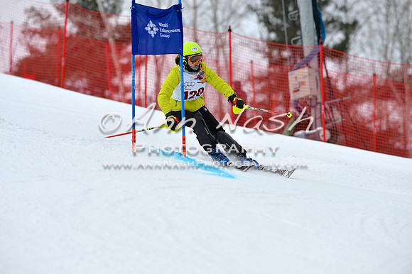 alpine_2015-02-14_10-31-19_DSC_5853_©AnnNashPhotographyLLC_2015