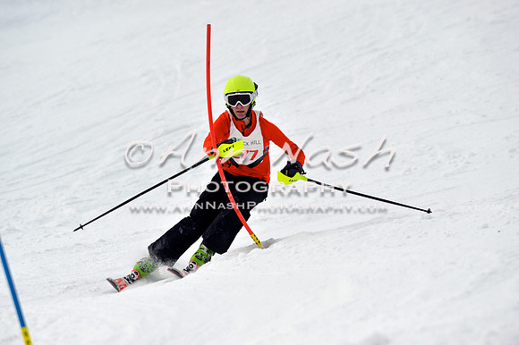 alpine_2015-01-22_12-53-14_DSC_2508_©AnnNashPhotographyLLC_2015